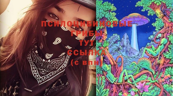прущая мука Корсаков