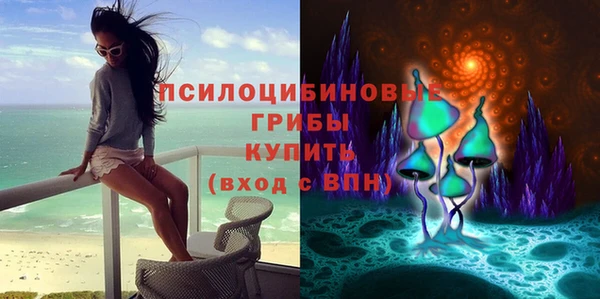 винт Коряжма